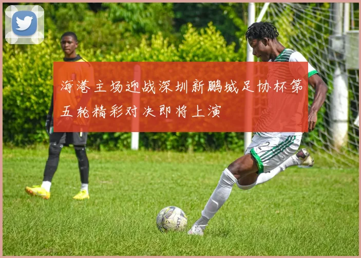 海港主场迎战深圳新鹏城足协杯第五轮精彩对决即将上演