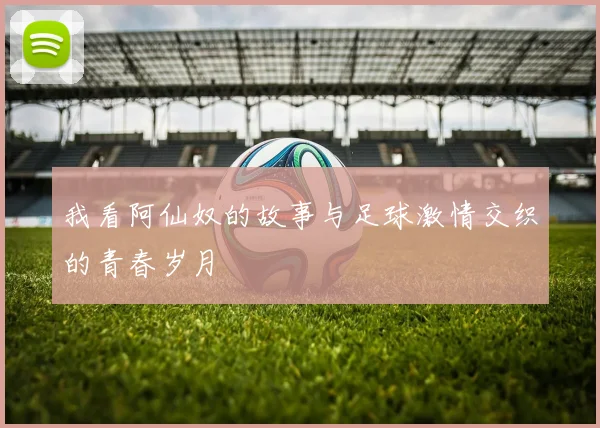 我看阿仙奴的故事与足球激情交织的青春岁月